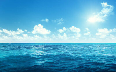 Navigating choppy waters: why real estate investment firms should be hiring now